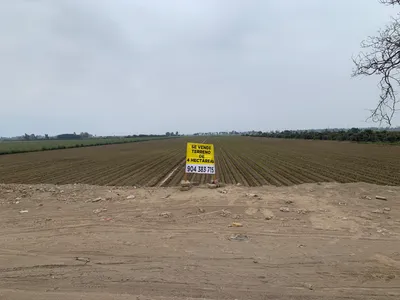 Oportunida El Carmen - Chincha Terreno en venta de 4 Hectáreas papeles ok
