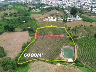 Terreno Agricola De 6000M2 En Venta En Cascas