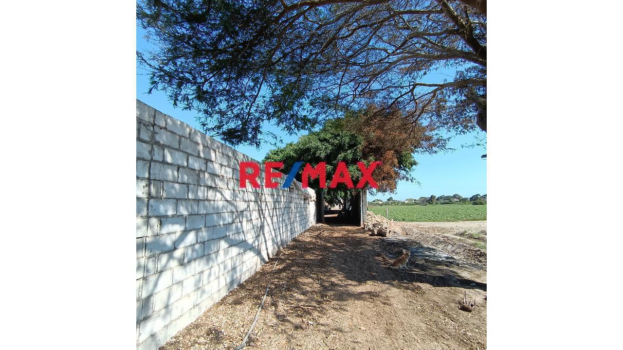 ¡Gran Oportunidad Agrícola❗ Venta de Terreno Productivo de 5.316 Hectáreas con Casa, Pozos y Sistema de Riego – Macabí, Ascope – S/540,000