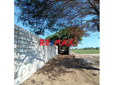 ¡Gran Oportunidad Agrícola❗ Venta de Terreno Productivo de 5.316 Hectáreas con Casa, Pozos y Sistema de Riego – Macabí, Ascope – S/540,000