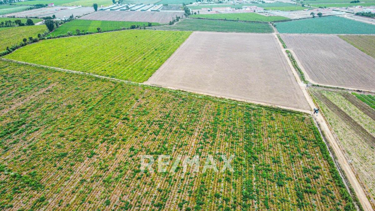 Venta de Terreno / Lote en - Huaral 0 Dormitorio 