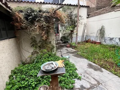 Venta de Terreno / Lote en Los Olivos - Lima 1 Dormitorio 
