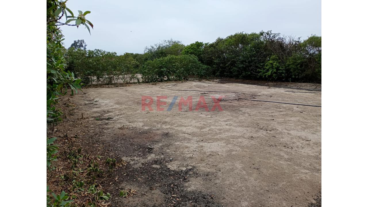 Venta De Terreno En Condominio Los Damascos, Asia, A 10 Minutos Del Boulevard De Asía