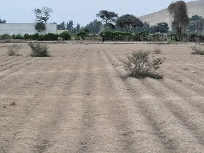 Venta de Terreno / Lote en Pachacamac - Lima