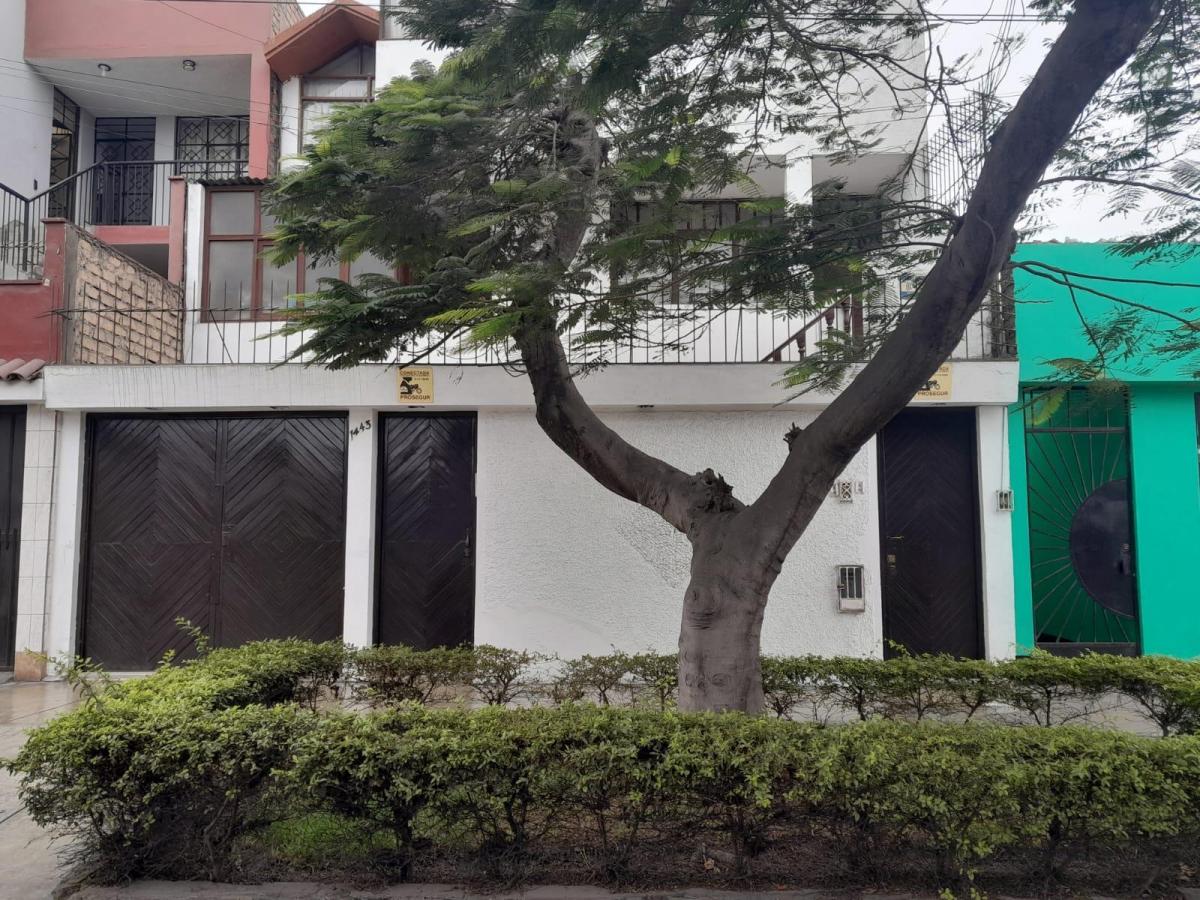 Alquiler de Departamento en Pueblo Libre - Lima 1 Dormitorio 