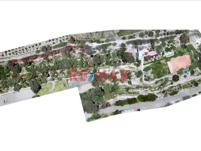 🌱 ¡Oportunidad Única! 🌱 Se Vende Terreno De Cultivo En Producción – 2,600 M²
