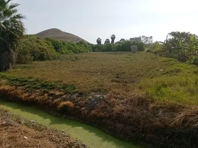 Venta de Terreno / Lote en Mala - Cañete