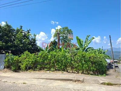 🏡 ¡Oportunidad De Inversión En Lamas – San Martín!