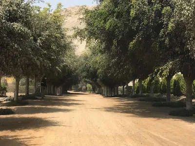 Venta de Terreno / Lote en Cieneguilla - Lima