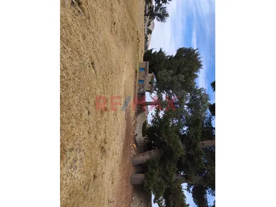 🌿 Terreno Rústico En Venta – Yunguyo