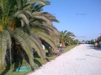 Casa en venta · Calle Condominio Cocoa N 1, Asia · 266 m², 5 dorm.