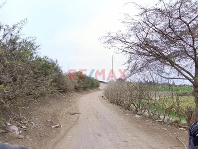 Venta de Terreno / Lote en - Chincha 0 Dormitorio 