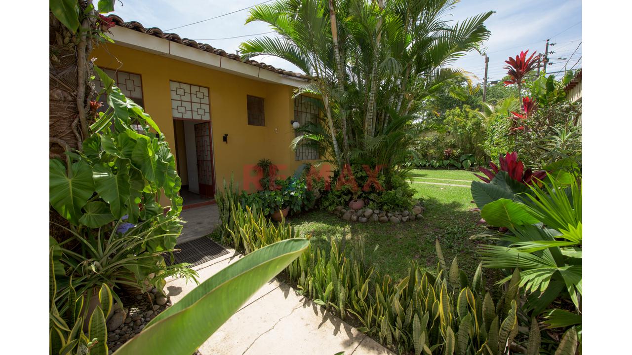 Espacio Para Crear, Crecer Y Remodelar Casa En Moyobamba