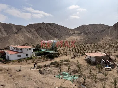 🚨 Atención Inversionistas Y Desarrolladores: Megaterreno Productivo De 35,809 M² (3.5 Hectáreas) Con Riego Por Goteo, Servicios Y Gran Casa Hacienda — ¡Oportunidad Única De Inversión! 🚨