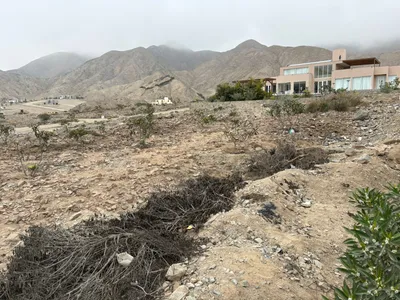 Cieneguillal "Condominio Bahias 3" Venta De Terreno 1024 M² L8
