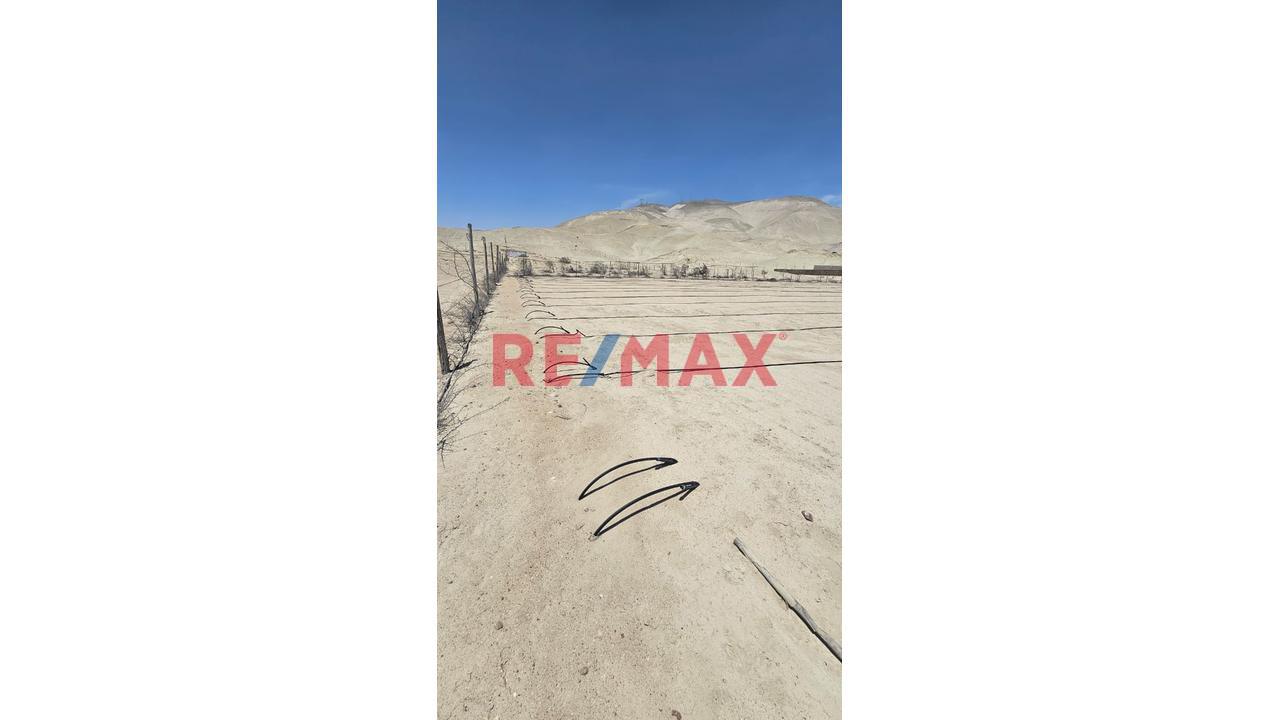 Vendo Lote  12-D Plano En Mariscal Caceres – Camana