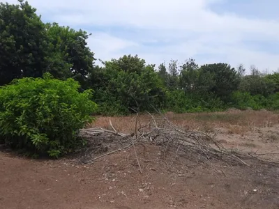 Venta de Terreno / Lote en Santa Cruz de Flores - Cañete