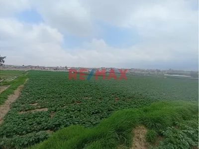 En Venta Terreno En Cerro Colorado