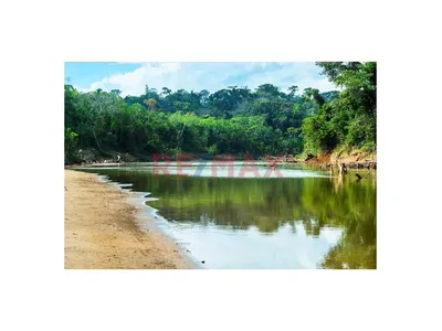 Terrenos En Venta En Madre De Dios