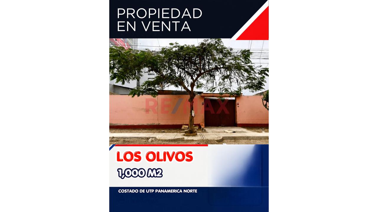 1,000 M² En San Lino, Los Olivos, Con 20 M De Frente Y 50 M De Fondo. Zonificación Vivienda Taller (Vt), Topografía Plana Y Ubicación Estratégica A Pocos Metros De La Utp.