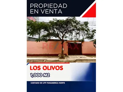 1,000 M² En San Lino, Los Olivos, Con 20 M De Frente Y 50 M De Fondo. Zonificación Vivienda Taller (Vt), Topografía Plana Y Ubicación Estratégica A Pocos Metros De La Utp.