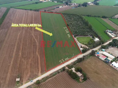 Terreno En Venta De 1.5 Hectáreas Ubicado En Quilmaná - Cañete