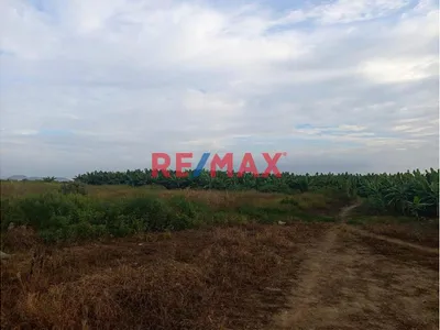 🌱 ¡Excelente Oportunidad De Inversión Agrícola En Piura❗❕Parcela De 5.10 Hectáreas En Chulucnas Morropón ✔✔A Solo S/.40000 Por Hectárea📌