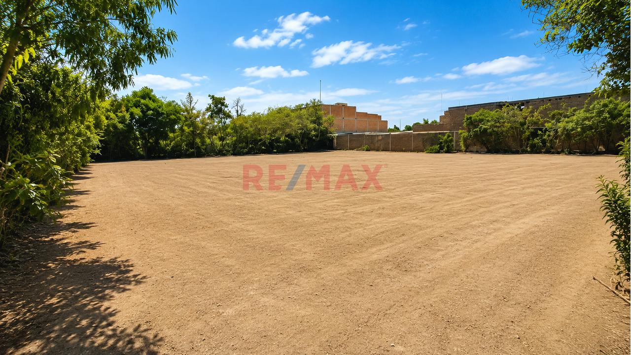 Venta Terreno Agricola / Industrial 2200 M2 - Monsefu
