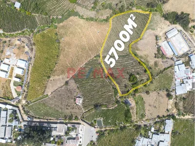 Terreno Agricola De 5700M2 En Venta En Cascas