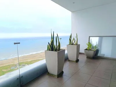 Venta de Departamento en Magdalena - del - Mar - Lima 3 Dormitorios 