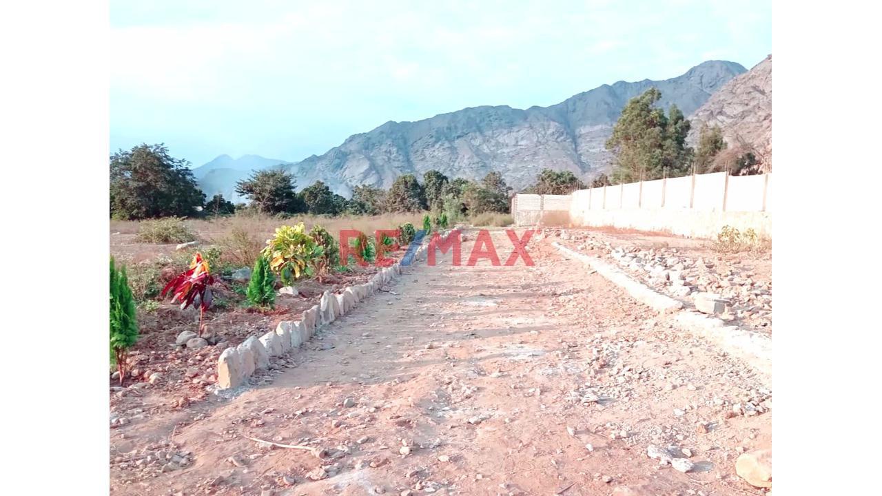 Vendo Lote Para Casa De Campo 400M2 Sector Las Cocas Valle Moche - Quirihuac