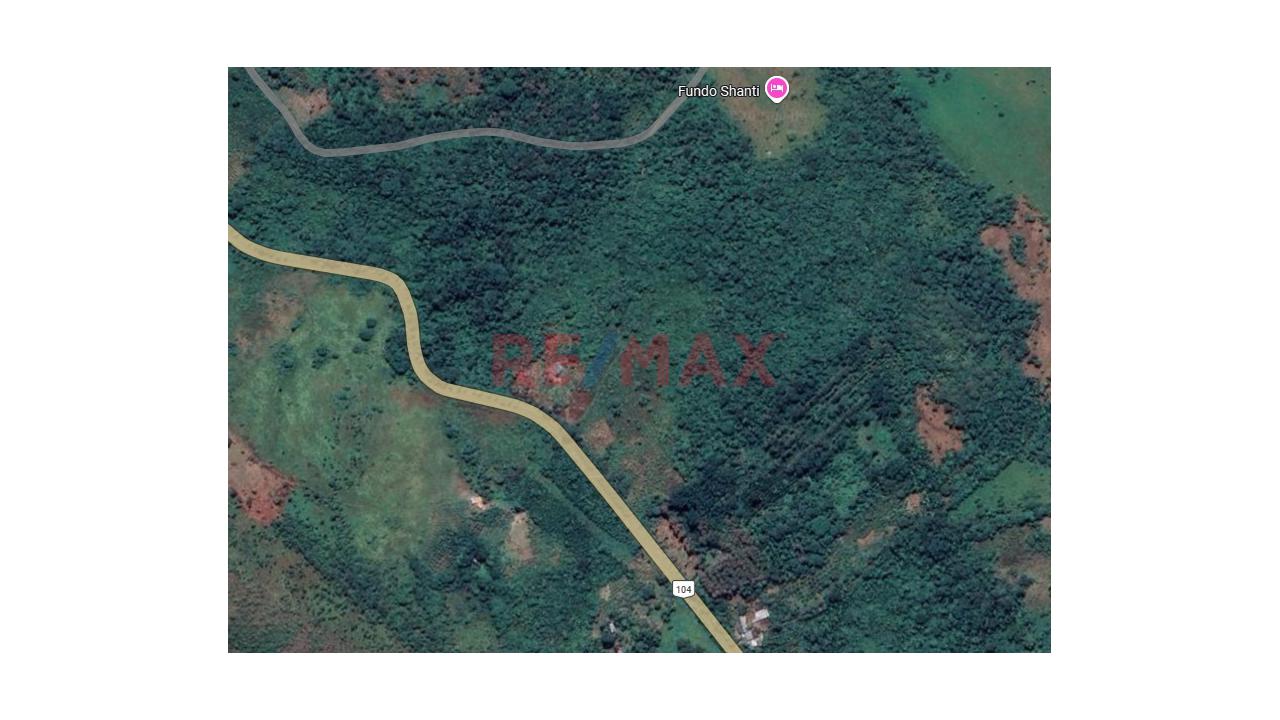 🌴🌿 ¡Casi 3 Hectáreas En Venta En El Corazón De San Martín! 🌿🌴