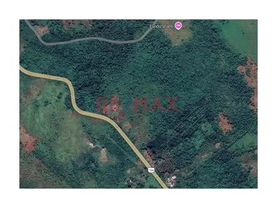 🌴🌿 ¡Casi 3 Hectáreas En Venta En El Corazón De San Martín! 🌿🌴