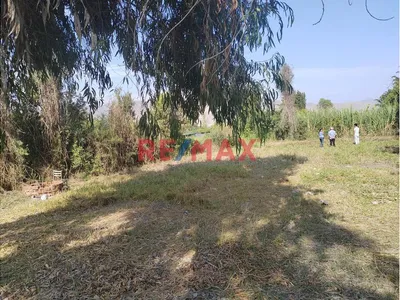 Vendo Terreno De 1505 M2 En Cañete
