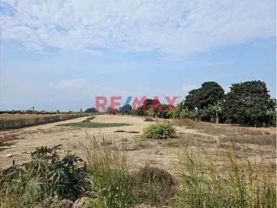 Se Vende Terreno En Imperial - Cañete