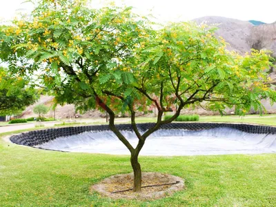 Terreno En Venta En El Mejor Clima De Lima!