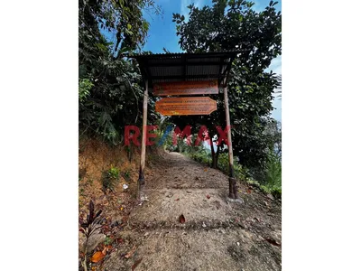 🌿🏞️ ¡Gran Oportunidad De Inversión Turística En La Selva Central! 🏞️🌿