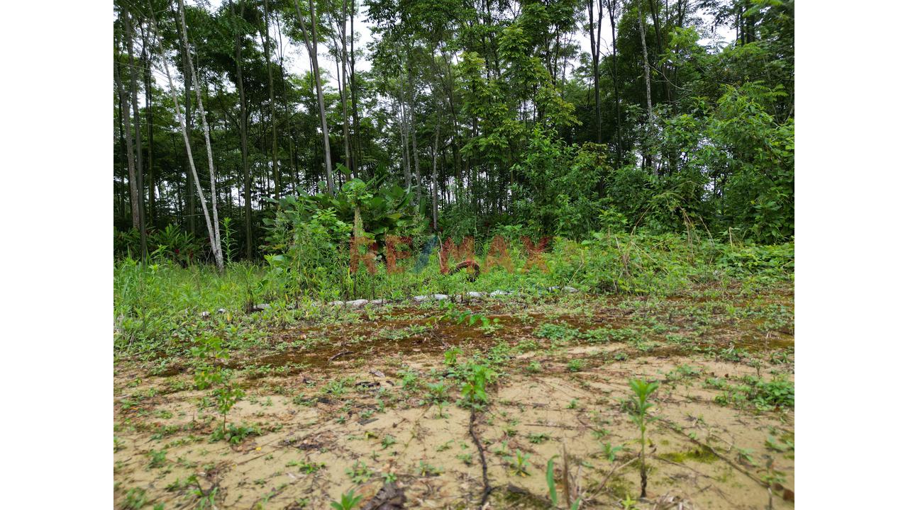 Se Vende Terreno Independizado En Tingomaria / Huanuco