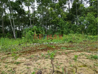 Se Vende Terreno Independizado En Tingomaria / Huanuco