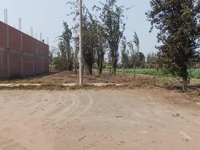 Venta de Terreno / Lote en Carabayllo - Lima 0 Dormitorio 