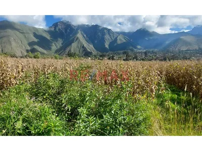 Terreno En Venta - Urquillos