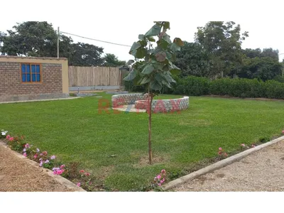 Terreno De 500 M2 Rodeado De Naturaleza Y Cerca Al Mar En Asia