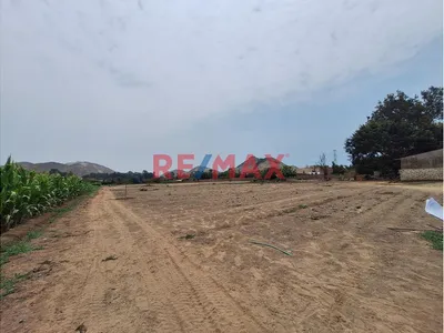 Terreno Agricola - Ingreso Pachacamac - Lurín