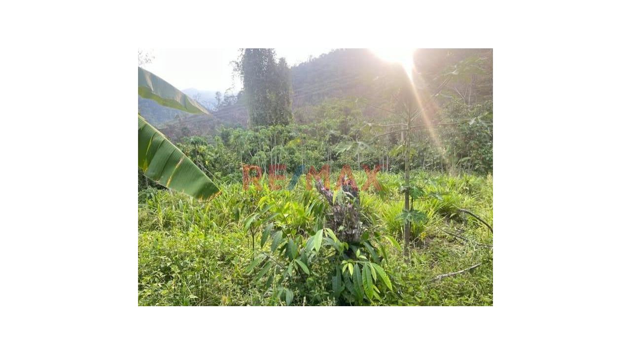 Gran Oportunidad‼️Venta De Terreno En Río Colorado❗