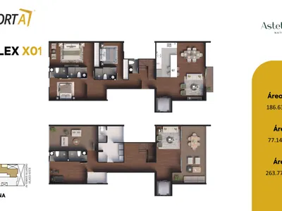 Modelo DUPLEX 501