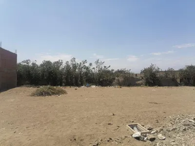 Venta de Terreno / Lote en - Huaura 0 Dormitorio 