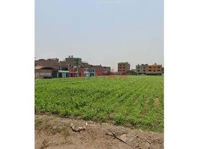 Vendo Terreno Cerca A Trapiche
