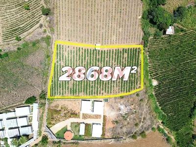 Terreno Agricola De 2868M2 En Venta En Cascas