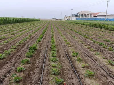 Venta de Terreno / Lote en Chancay - Huaral