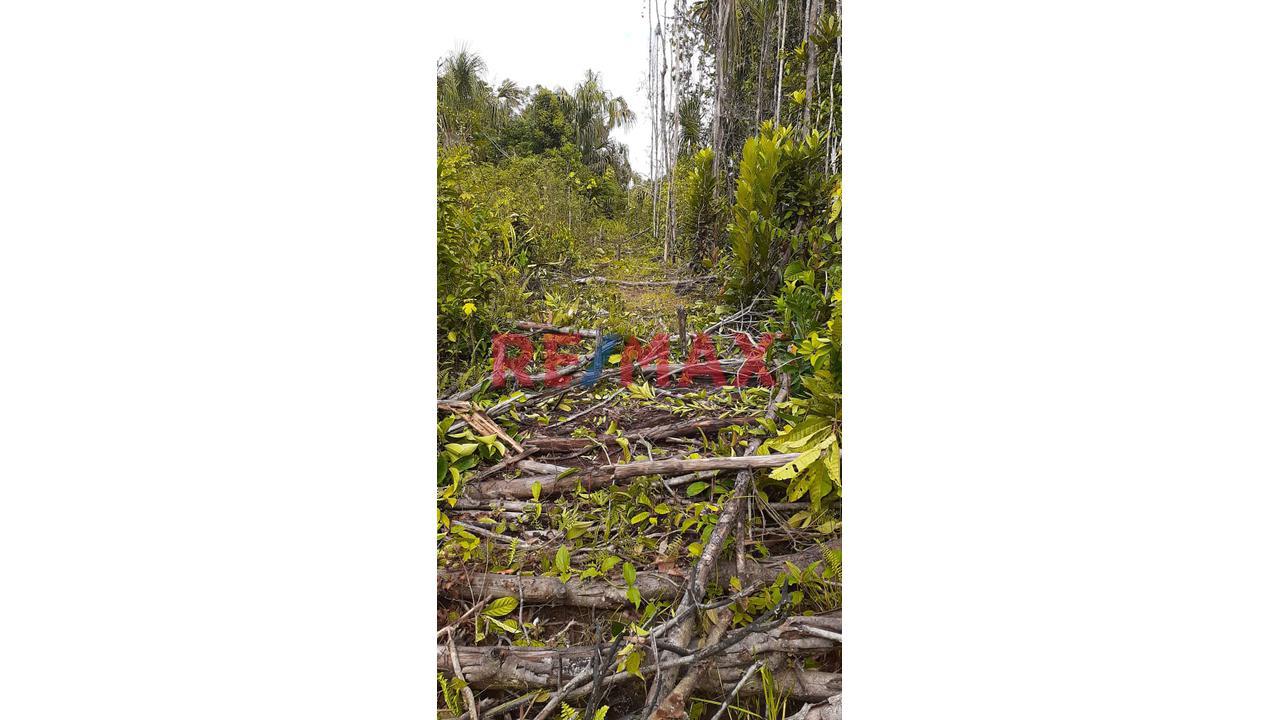 Invierte En La Amazonía: 43,3922 Hectáreas En Mazán (Maynas) Para Lodge, Turismo O Proyecto Agrícola
